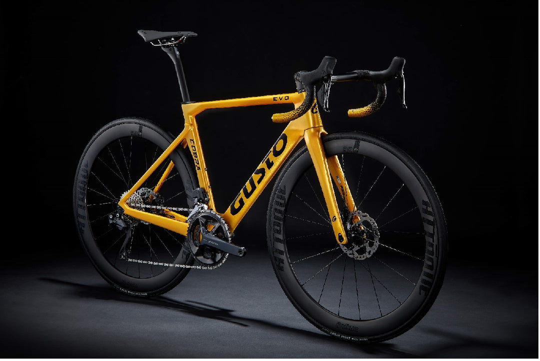 Gusto Cobra Evo Sport Ultra (Complete Bike) – Chapter 2 Cycle